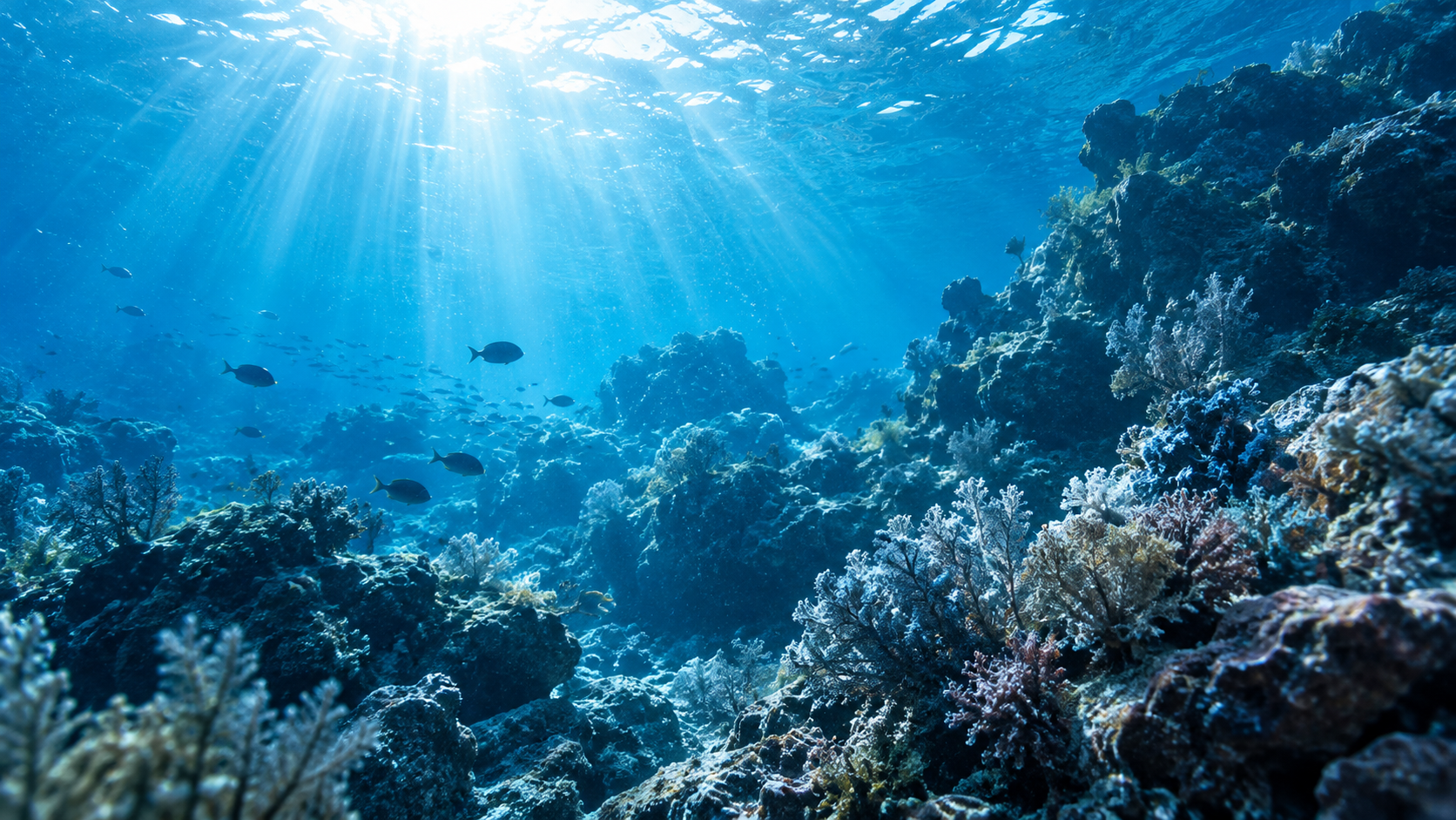 光が差し込む海中の海洋研究イメージ